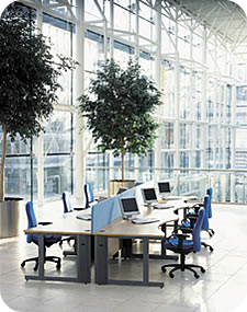 Pulse + System Desking